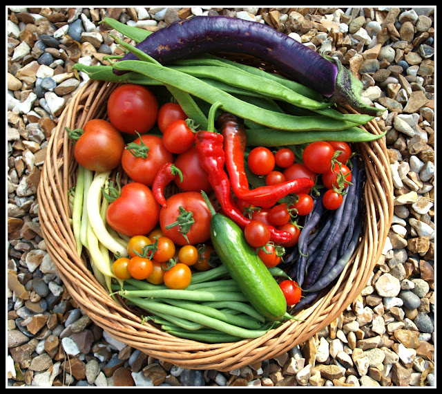 Mark's Veg Plot Coming home to a good harvest