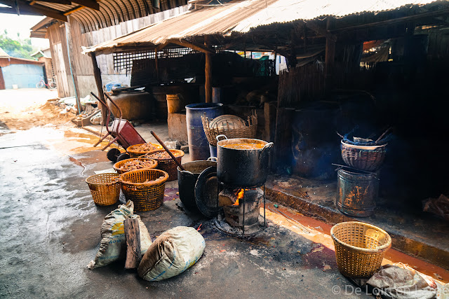 Campagne de Battambang - Cambodge