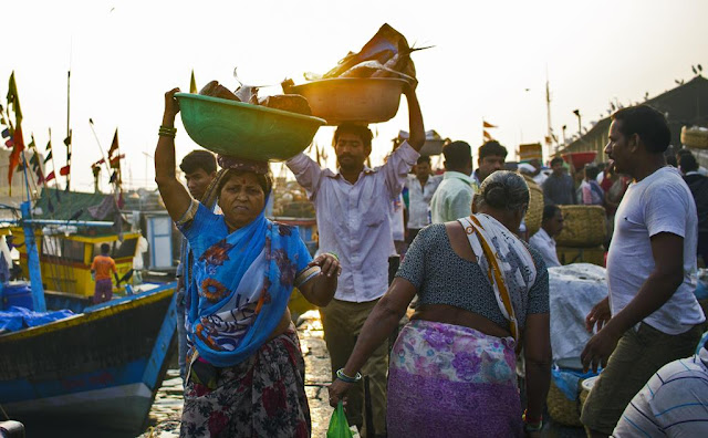 headloads, baskets, fish, sassoon docks, fisherfolk, vendors, morning, mumbai, india, 