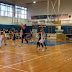 Μπάσκετ: Μεγάλη νίκη στα Φάρσαλα για τον Φίλιππο Βέροιας