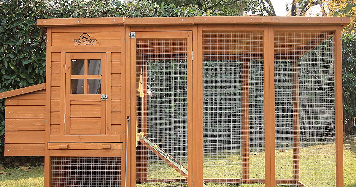 Wie man einen Hühnerstall in der bestmöglichen Weise macht - biographypedia