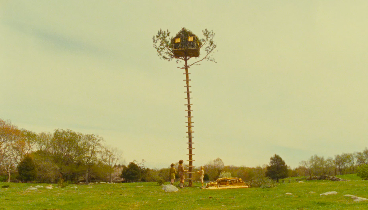 Moonrise Kingdom Reel Insights position-and-direction-worksheet-grade1to6-worksheets-library