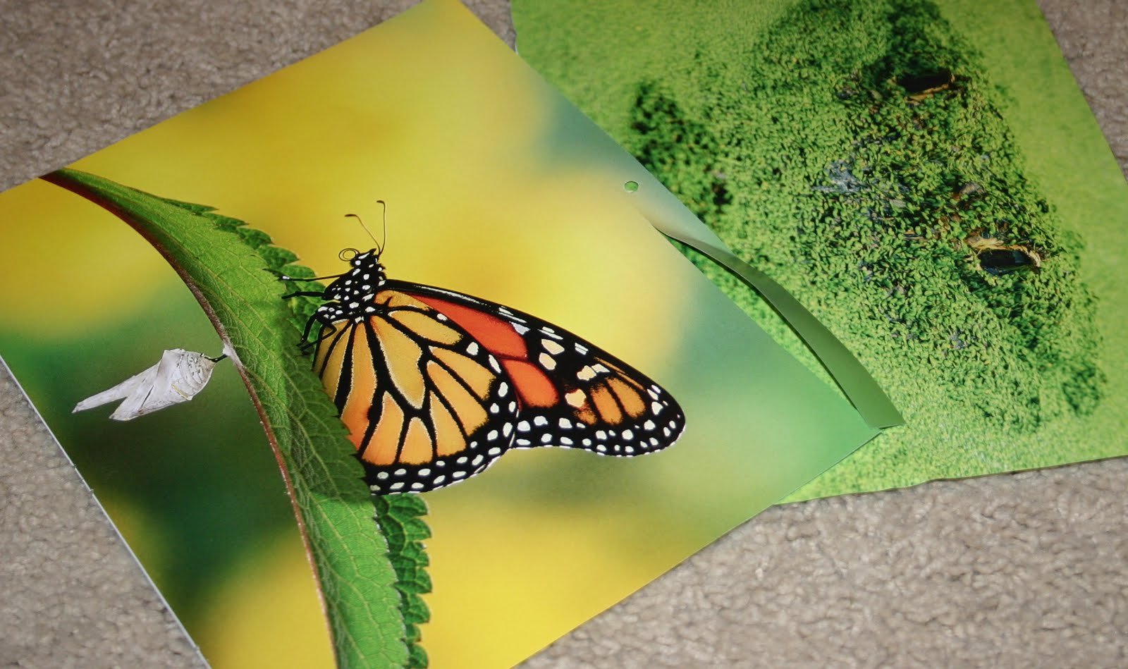 How to Make Recycled Gift Bags from Calendars