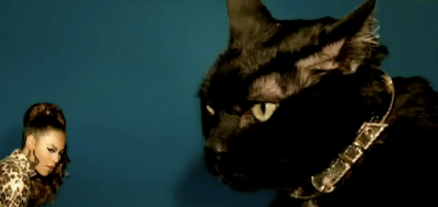 Catsparella: Beyonce's