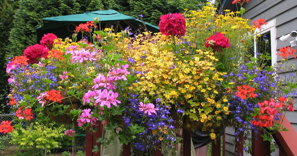 My Petal Press Garden Blog: Flower baskets