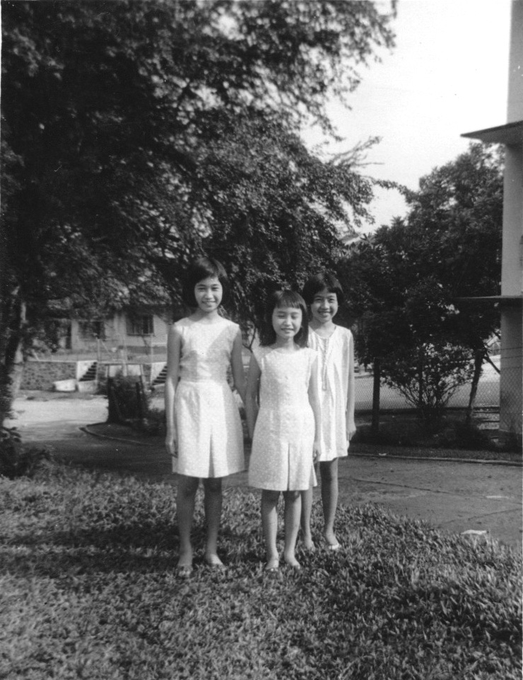 Princess Elizabeth Estate, Hillview Photos