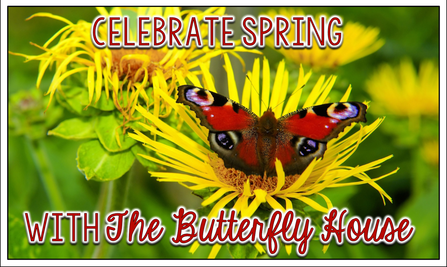 April 2014 Comprehension Connection