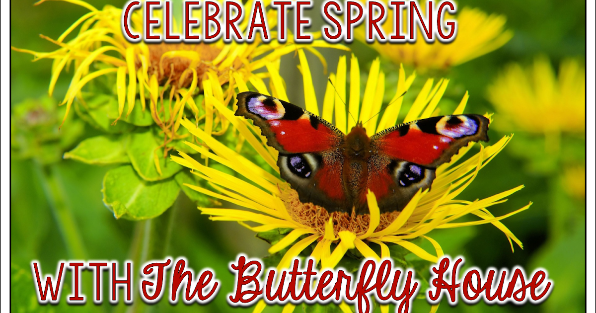 Celebrating Spring with The Butterfly House Comprehension Connection