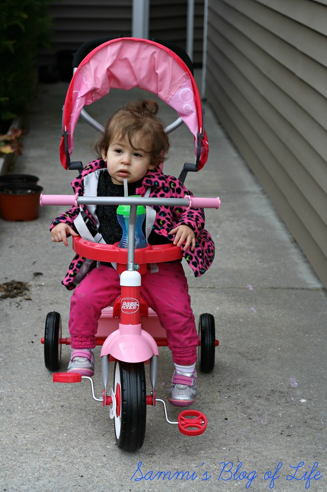 radio flyer tricycle pink instructions