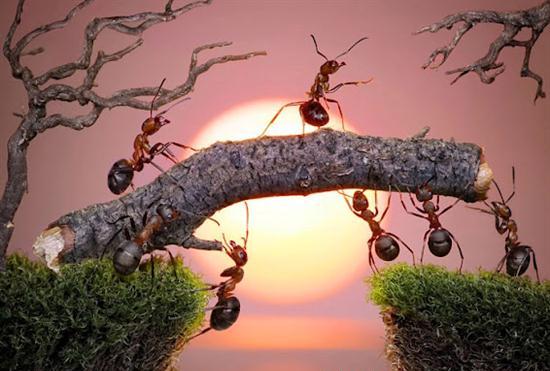 %E0%AE%AA%E0%AE%9F%E0%AF%88%E0%AE%AA%E0%