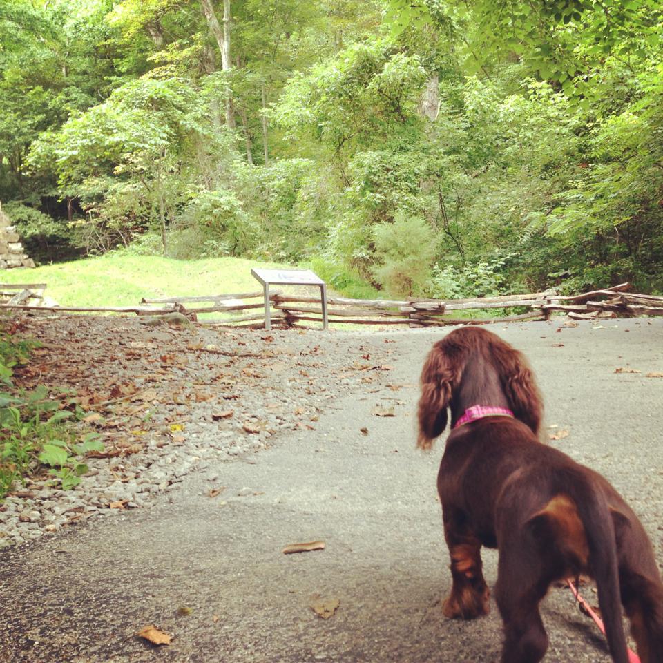 Aspiring World Traveler The Iron Furnace, Cumberland Gap National Park