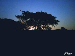 PICO DO JARAGUÁ AO ANOITECER