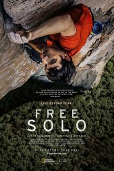Baixar O Filme Free Solo 720p e 1080p Dublado Torrent Download Free Solo Dublado e Dual Áudio via torrent