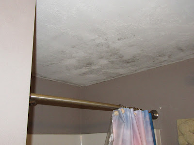 mold growing on a ceiling in a bathroom in North Attleboro, MA.