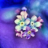 How to Solve the Problem of Urinary Tract Infection in Persons Living with Dementia Forget me Not | Alzheimer's Reading Room