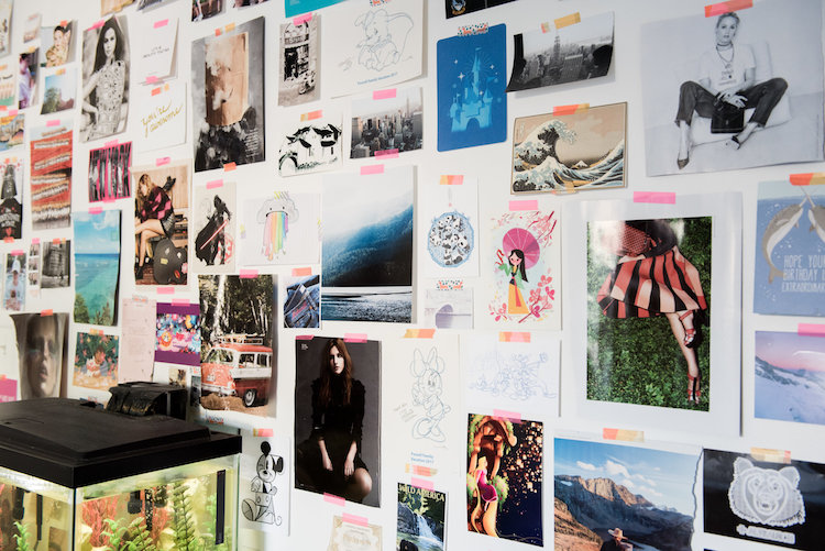 15 plantas que vão deixar sua casa mais bonita e mais cheirosa