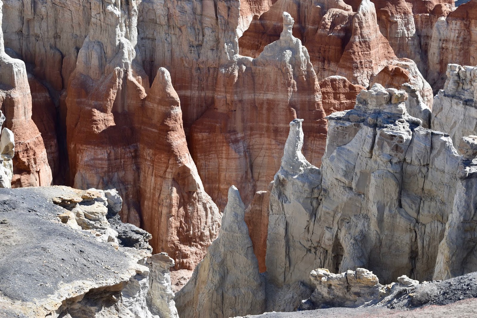 goodtimesrollin Tuba City...