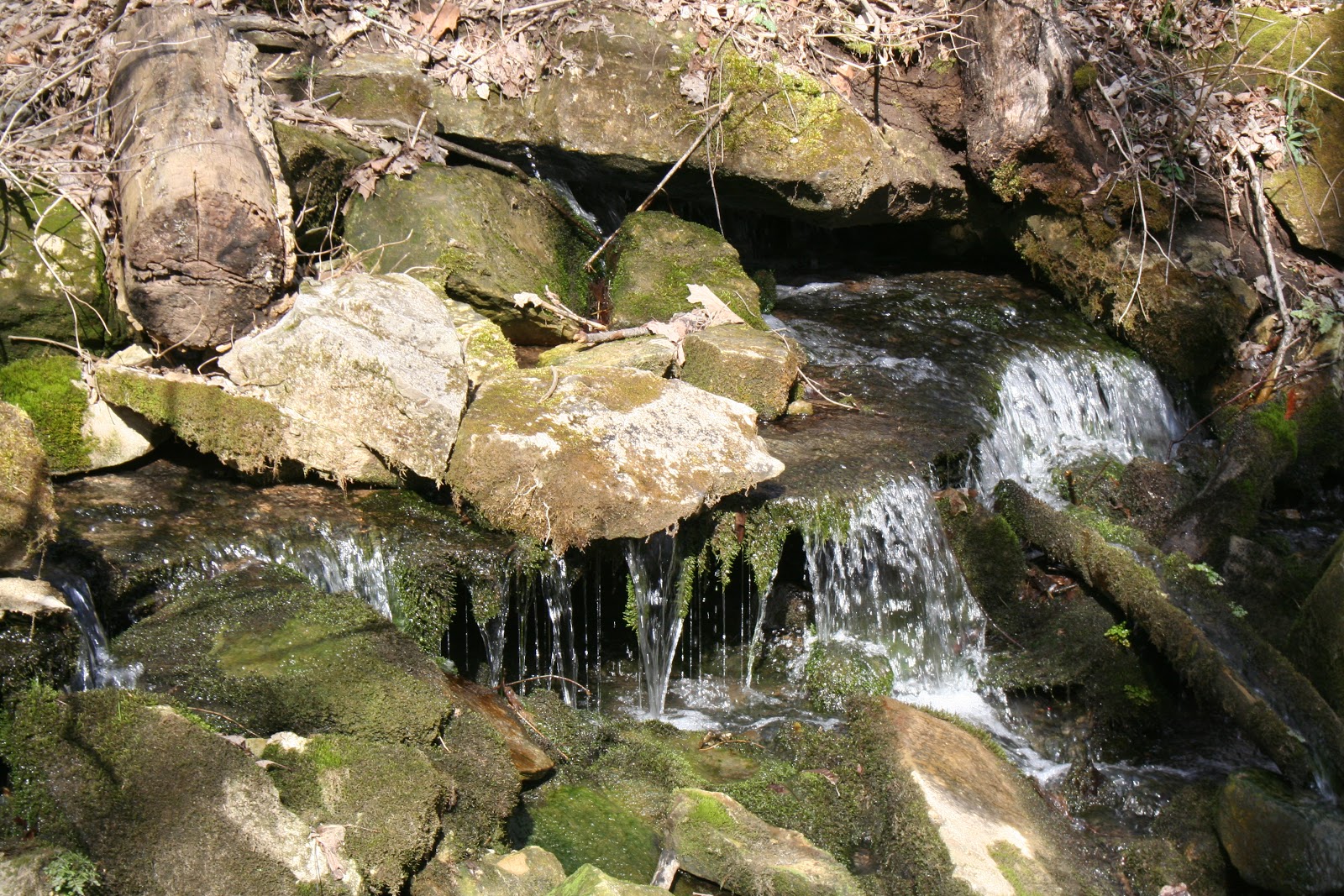Bloomington, IN Leonard Springs Nature Park Explore This City