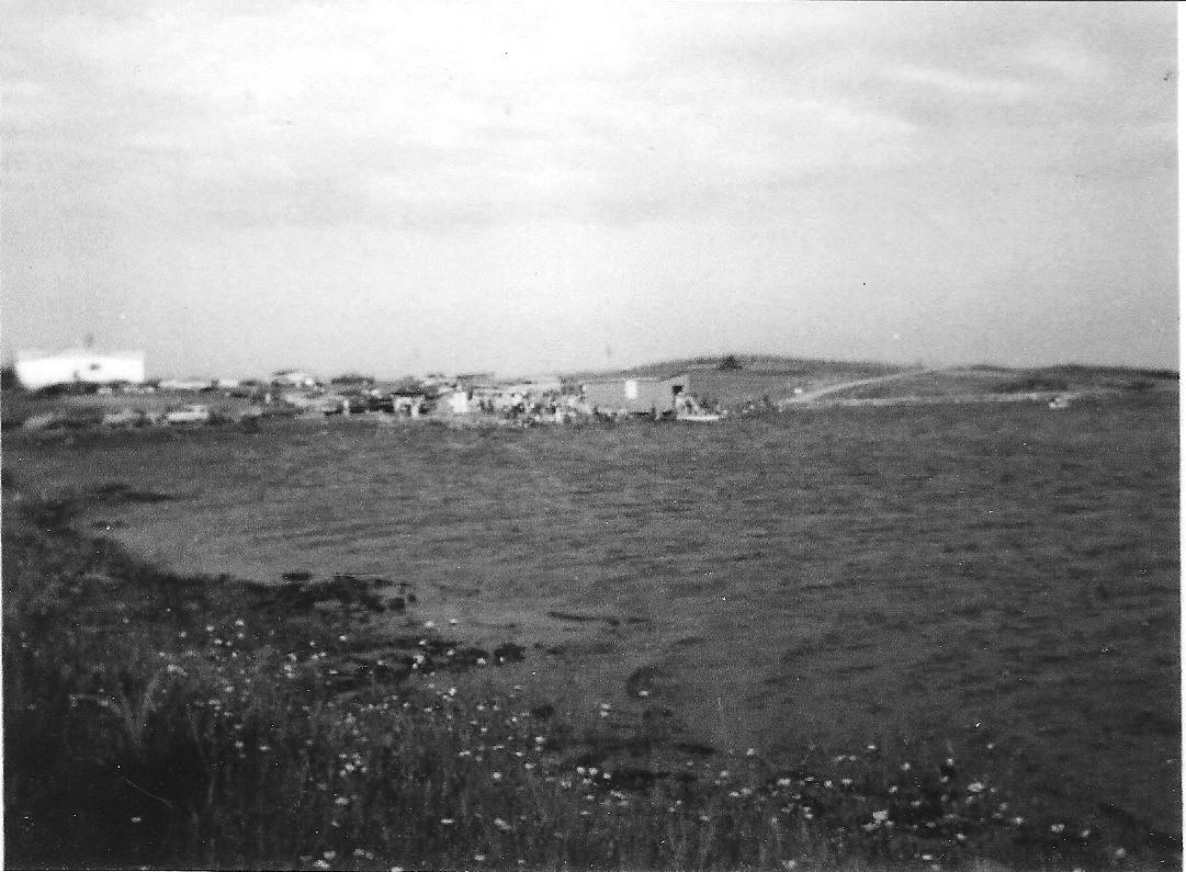 Lower Island Cove Lower Island Cove Regatta The First Years