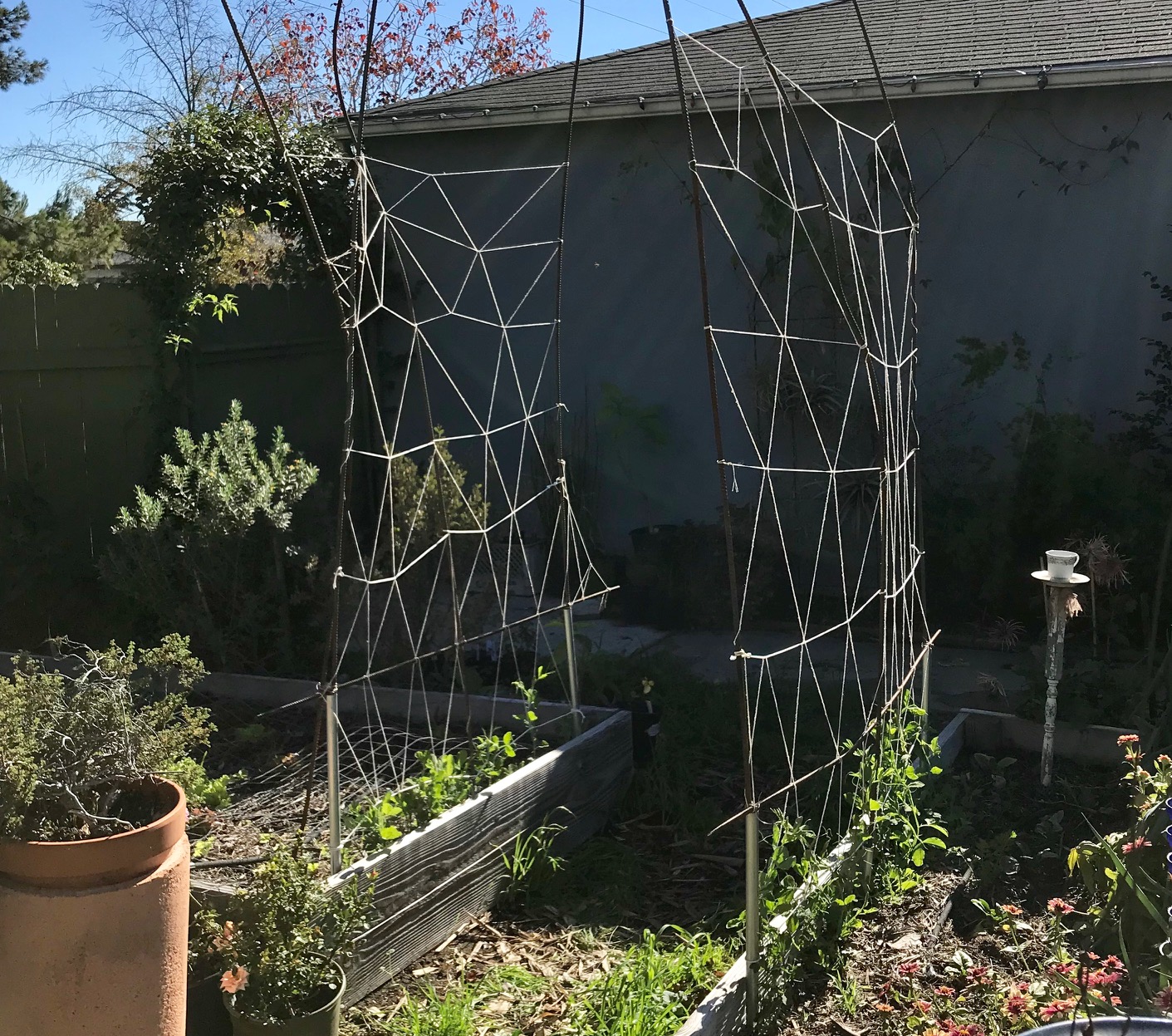 Aprille's SoCal Gardening Sweet Pea Trellis
