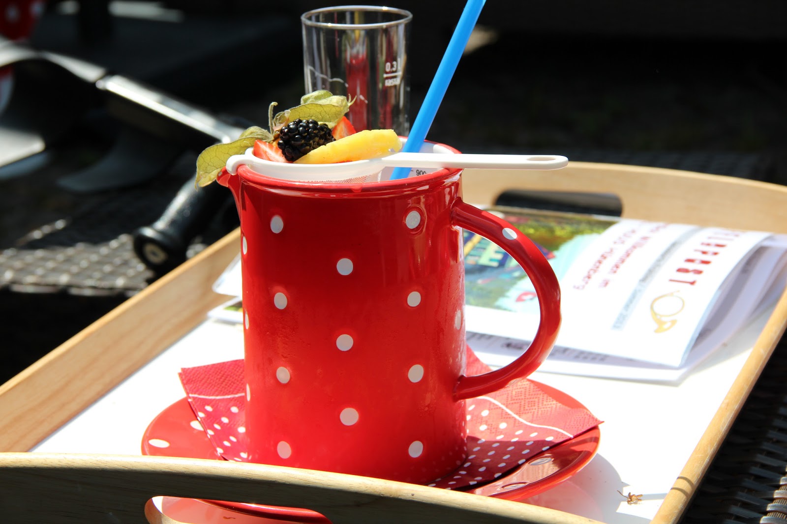 Stadtwölfe Juli 2013