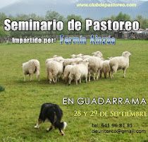 Seminario pastoreo