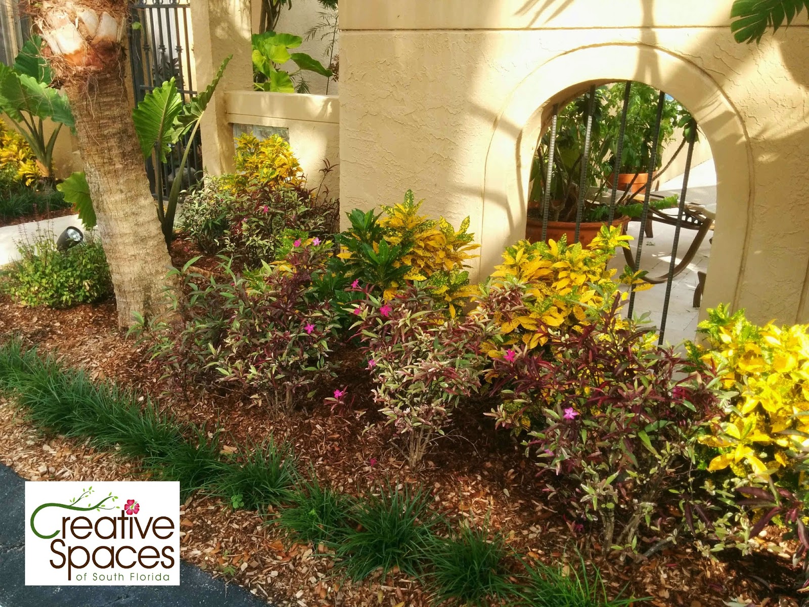 Gardening South Florida Style Ground Covers South Florida Style v.I