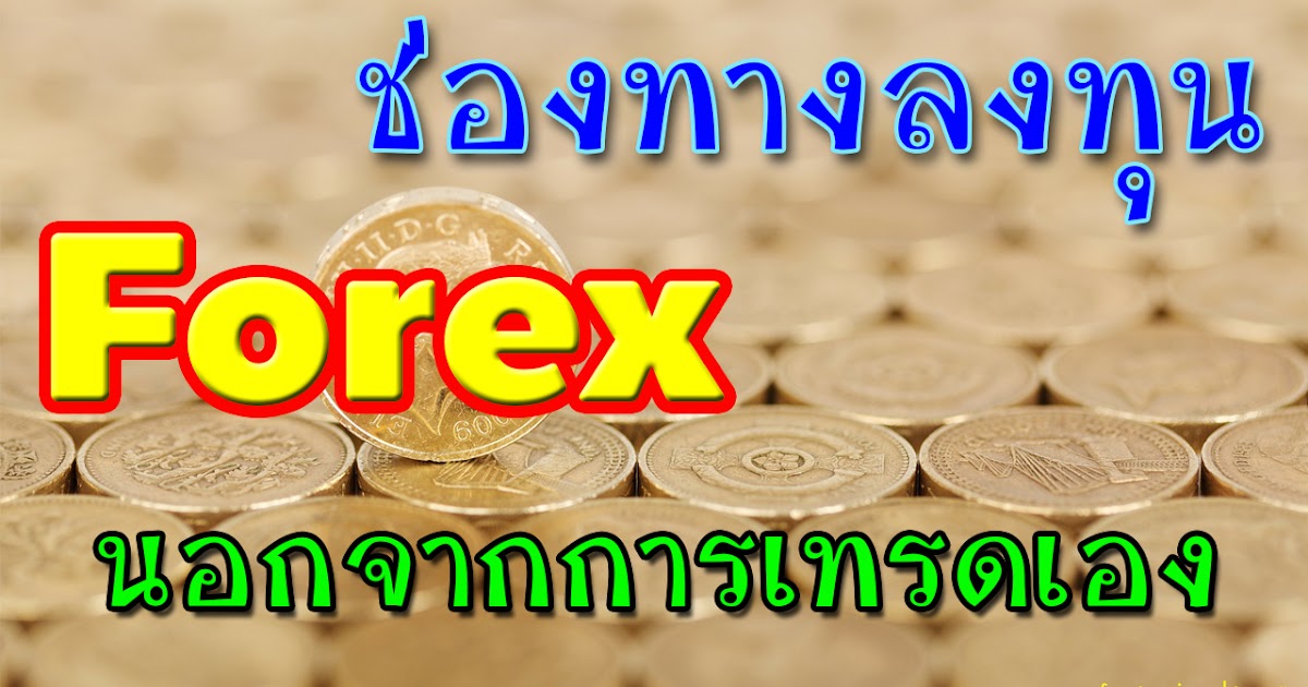 Forex pamm investment
