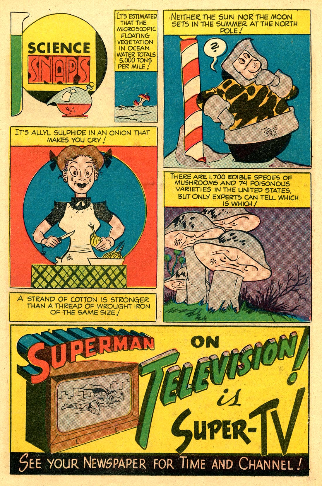 Read online Strange Adventures (1950) comic -  Issue #94 - 19