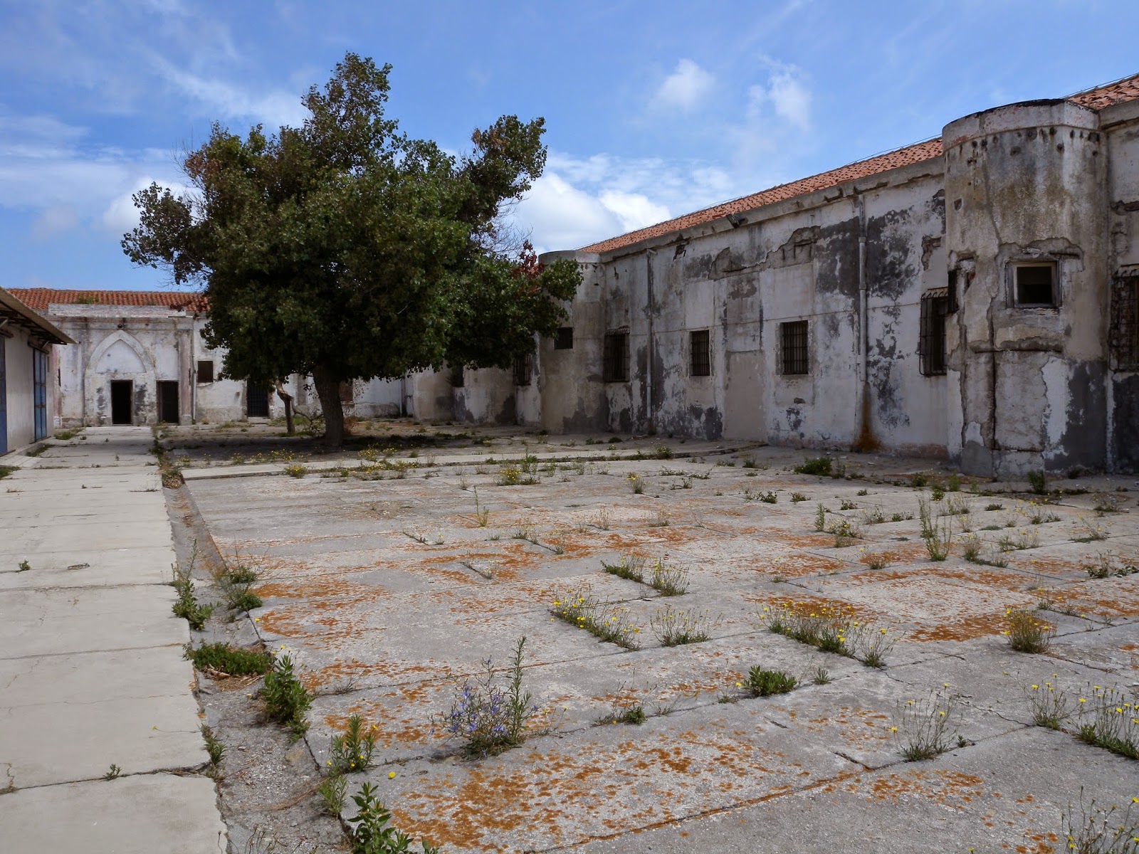 MUSEO TEO IL FANTASMA DELLA LIBERTà