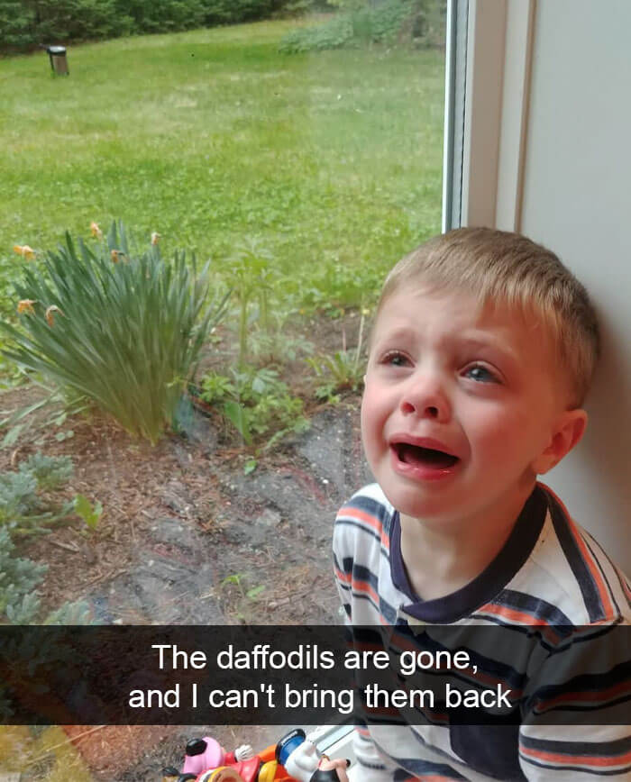 28 Parents Share The Hilariously Adorable Reasons Their Kids Are Crying