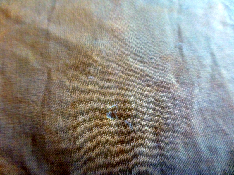 Dryer Sheets Dryer Sheet Allergy