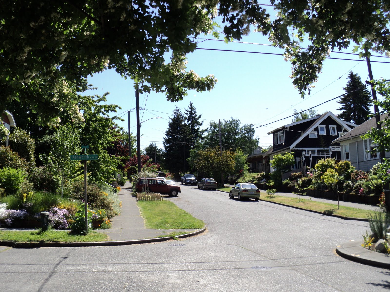 Walking Seattle Neighborhoods South Wallingford