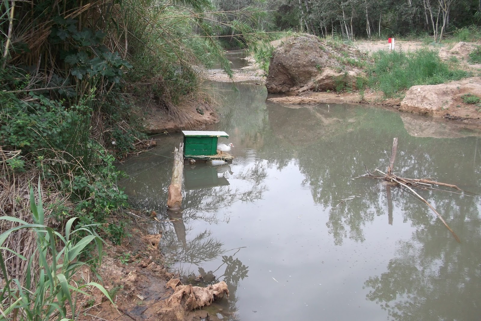 Valdecara: Ya no nacerán los patos que esperábamos
