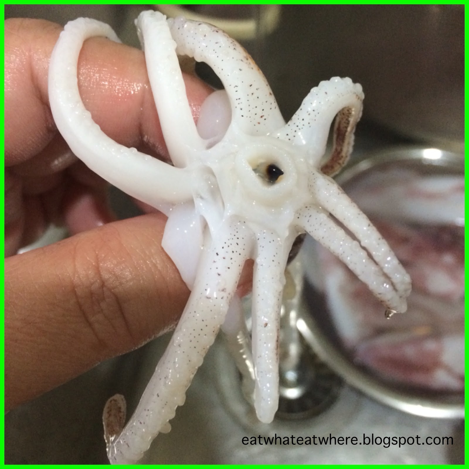 Eat what, Eat where?: How to Prep Squid