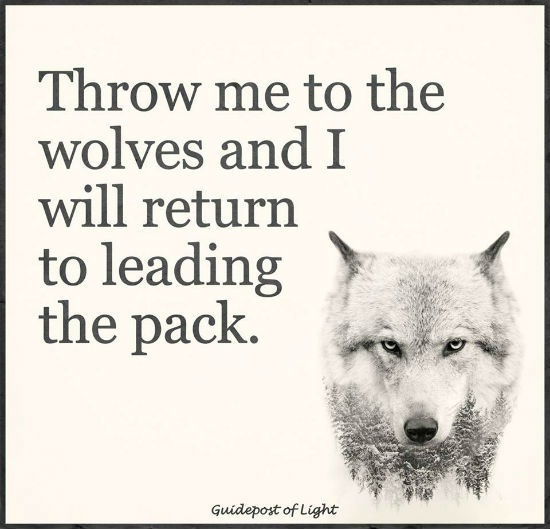 Throw me to the wolves and I will return to leading the pack