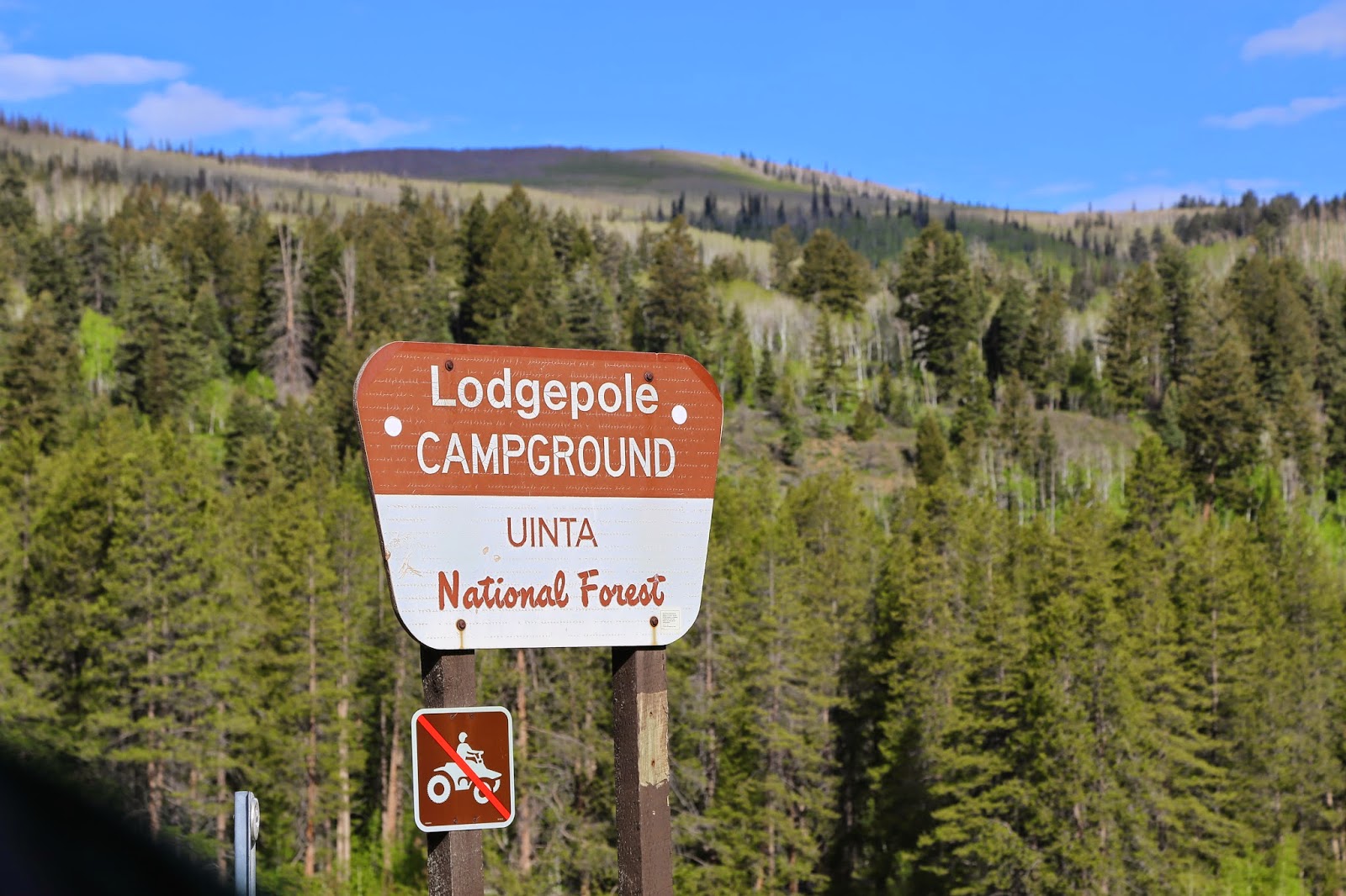 Camping at Lodgepole Campground | | Making Life Blissful