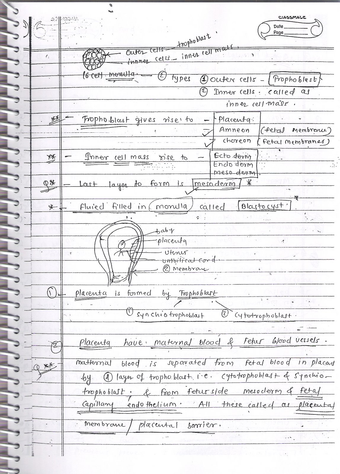 MCI Screening Test MCI screening Test Scans for OBG and gyne class notes