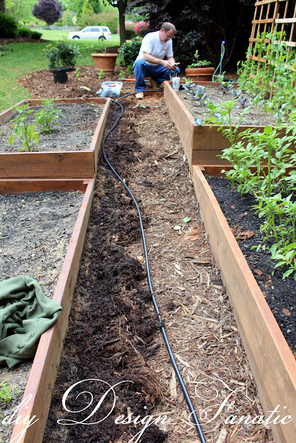 install a simple drip irrigation system, drip irrigation kit, backyard