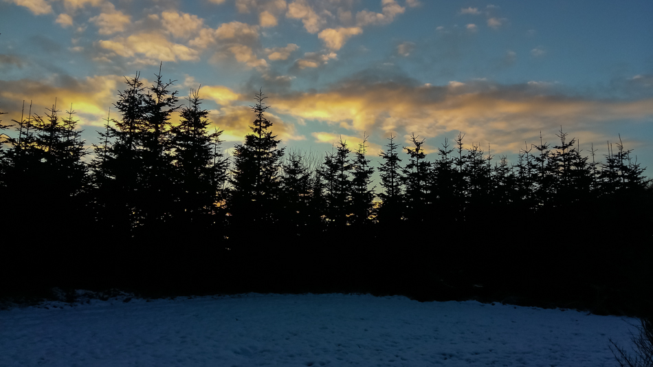 Happy Winter Solstice