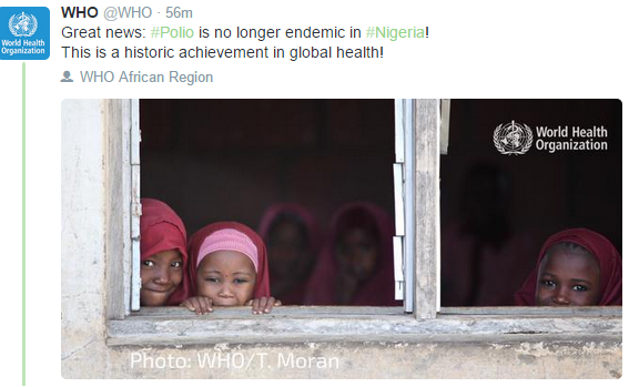 World Health Organization says Polio in Nigeria is no longer endemic,polio in Nigeria,polio in Africa,polio in Asia,polio disease,