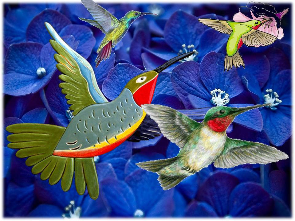 ORACIONES, MAGIA Y RITUALES: EL COLIBRÍ COMO ANIMAL TOTEM