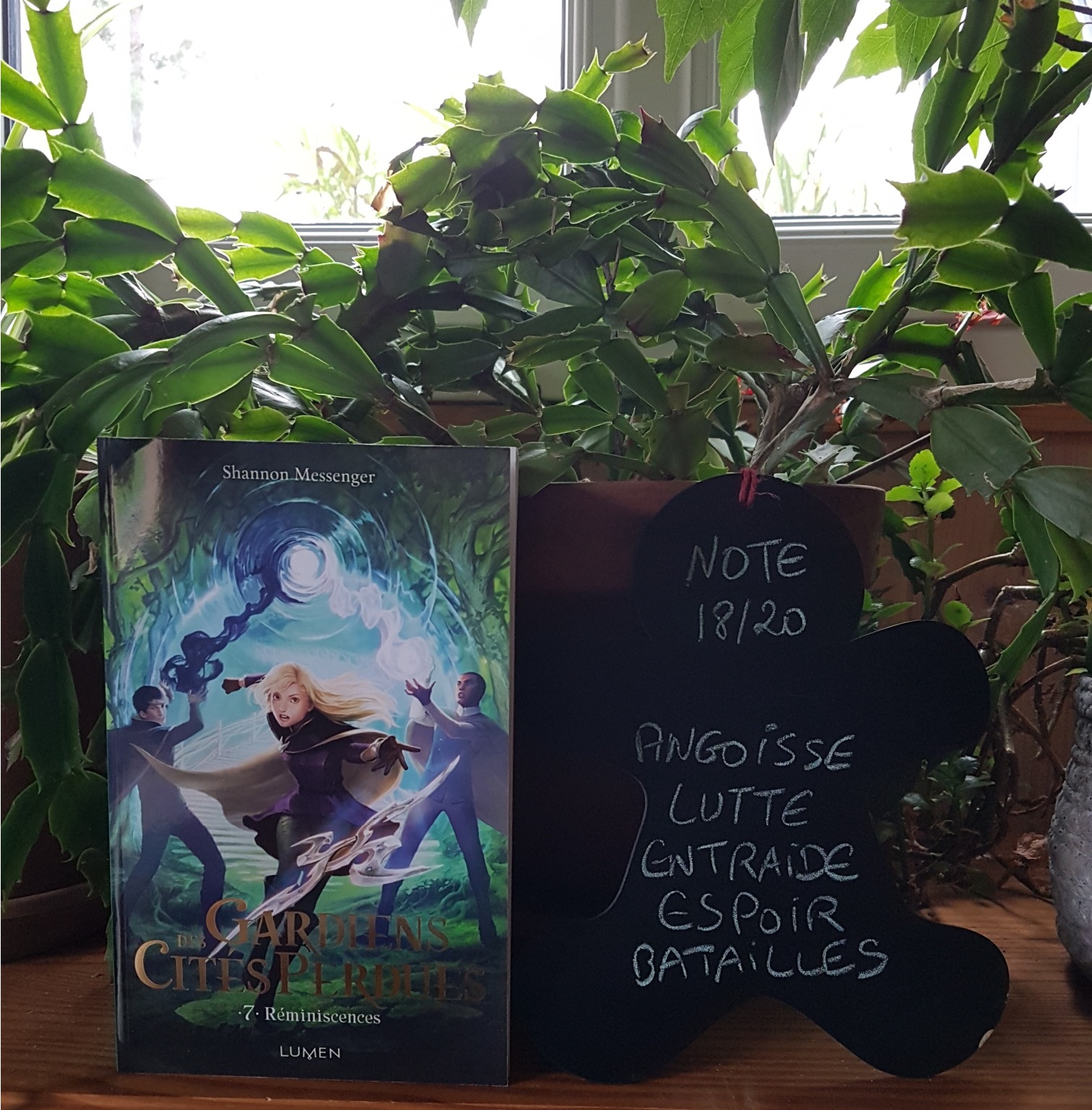 Gardiens Des Cites Perdues Tome 7 Reminiscences De Shannon