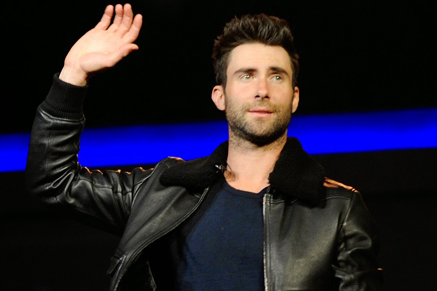 Celebrity Style Gallery: Adam Noah Levine