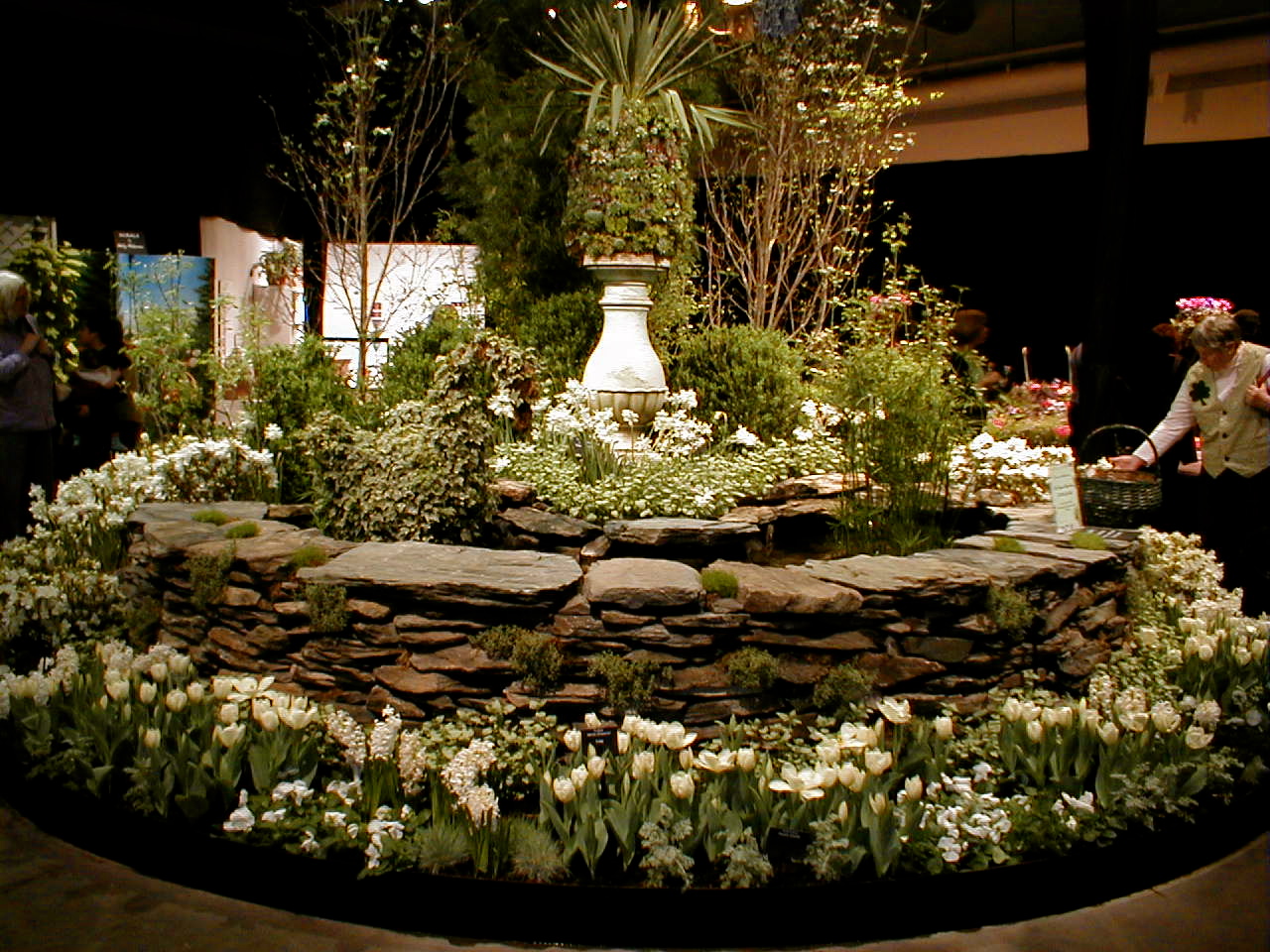 Bonney Lassie Reminiscing About Past New England Flower Shows