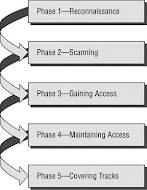 Hacking Methodology - Hacking Growth By Sean Ellis Morgan Brown Audiobook Audible Com / Part ii putting security testing in motion.