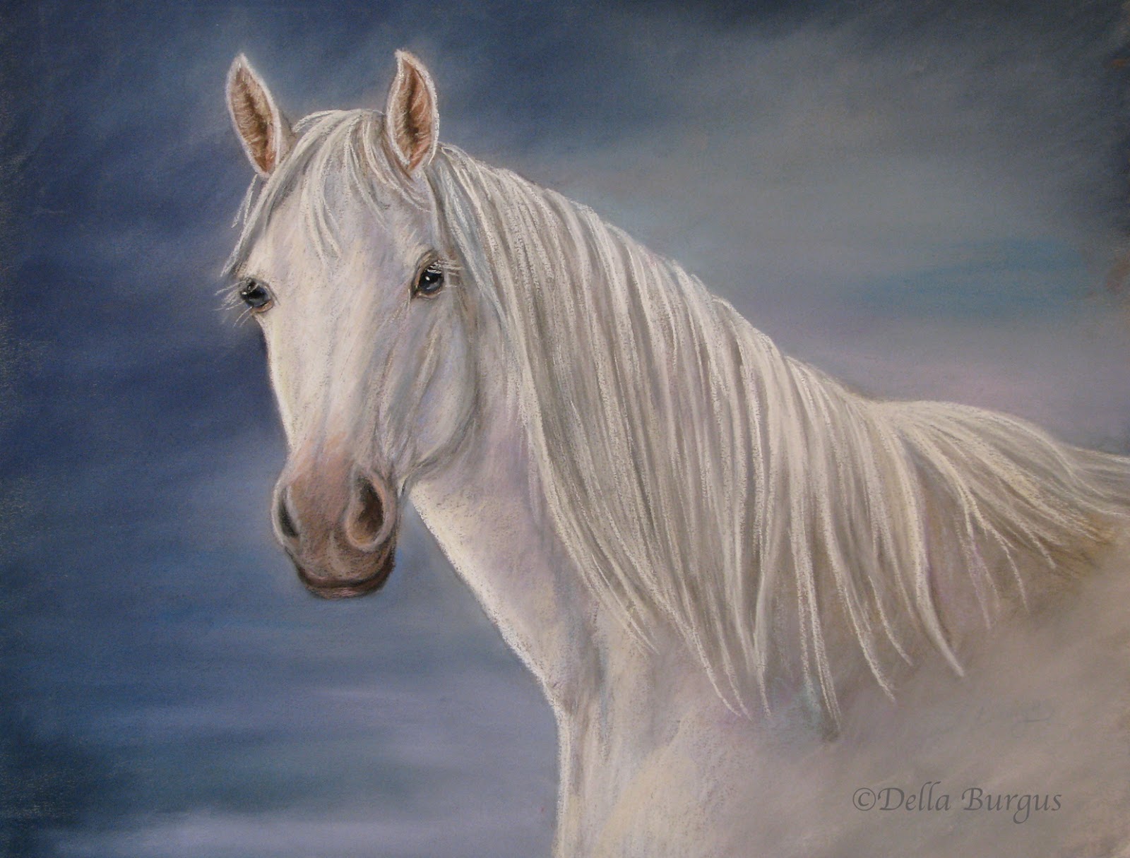Art Helping Animals The Dreamer White Horse Pastel Painting by Della