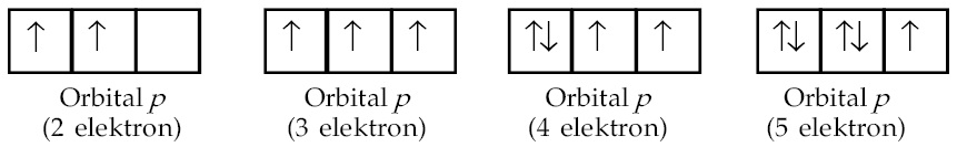 Prinsip Aufbau Aturan Hund Dan Larangan Pauli Asas Kaidah