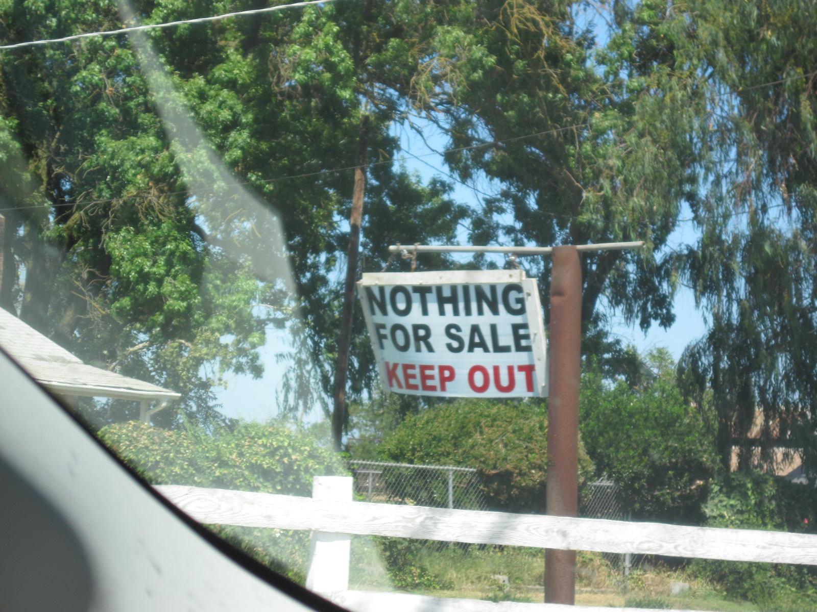 Frogpond Chronicles Nothing for Sale