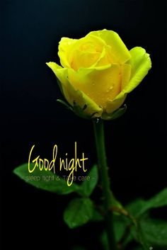 good night images 3d